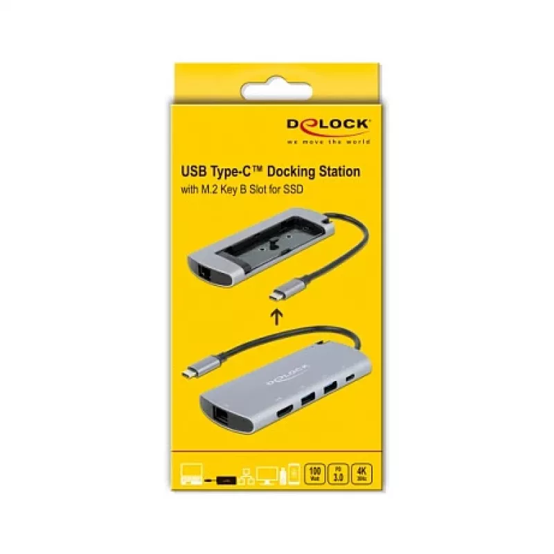 DeLOCK USB Type-C doko stotelė su M.2 lizdu