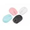 NATEC STORK pelė Home Ambidextrous RF Wireless + USB-A optinė 1600 DPI