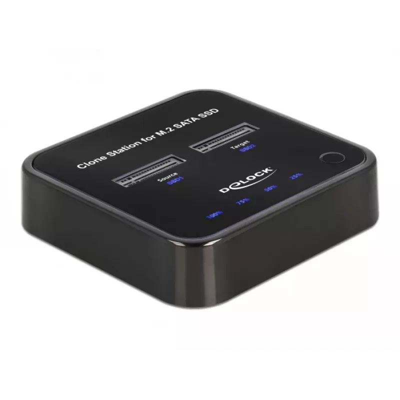 DeLOCK 64178 Docking stotelė USB 3.2 Gen 2 Type-C dviems M.2 SATA SSD