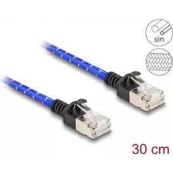 DeLOCK RJ45 Cat.6A tinklo kabelis 0,3 m mėlynas
