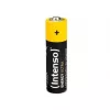 Intenso Energy-Ultra Mignon (AA) baterija šarminė 1.5 V 10 vnt. (7501920)