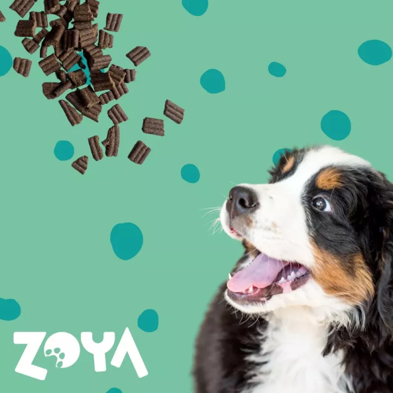 Sausas šunų ėdalas ZOYA ColdPRO Deer 9 kg – suaugusių priežiūrai, vieno baltymo elniena, 26% baltymų, 9,5% riebalų