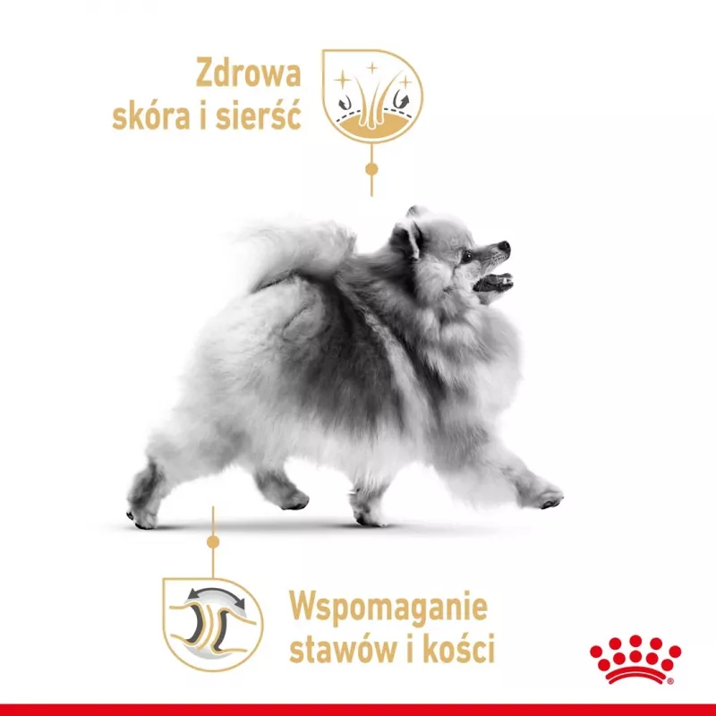 Sausas šunų ėdalas Royal Canin Pomeranian Adult 3 kg – suaugusiems Pomeranijos špicams