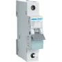 Automatinis jungiklis Hager MBS125, 25 A, B charakteristika, 1 modulis