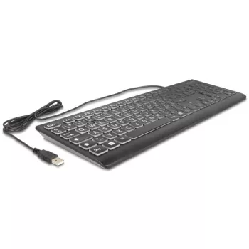 Delock 12170 USB klaviatūra su XXL raidėmis ir apšvietimu, 1,5 m, juoda
