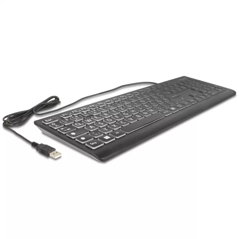 Delock 12170 USB klaviatūra su XXL raidėmis ir apšvietimu, 1,5 m, juoda