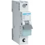 Hager MBS106 automatinis jungiklis 6 A, B tipo, 1 modulis