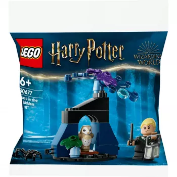 Konstruktorius LEGO Harry Potter rinkinys 30677 – Drakas Užburtojo miške minifigūrėlių scena