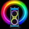 Nešiojamas garsiakalbis MANTA SPK0601B100, 100 W, Bluetooth, karaoke, belaidis mikrofonas, baterija, ekvalaizeris, disko apšvietimas