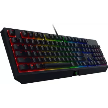 Razer BlackWidow V3 – laidinė žaidimų klaviatūra su RGB LED apšvietimu, NORD išdėstymas