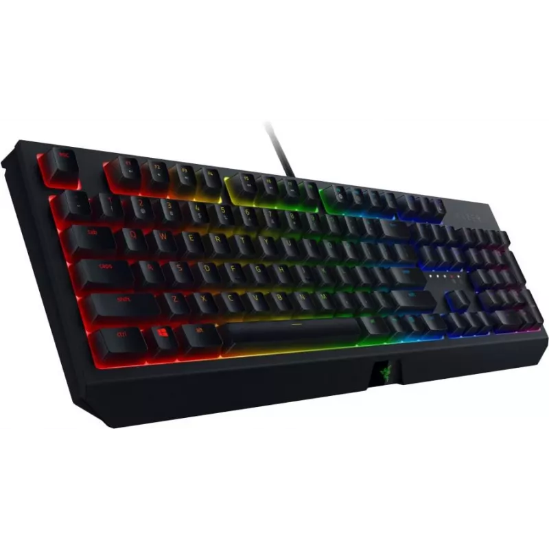Razer BlackWidow V3 – laidinė žaidimų klaviatūra su RGB LED apšvietimu, NORD išdėstymas