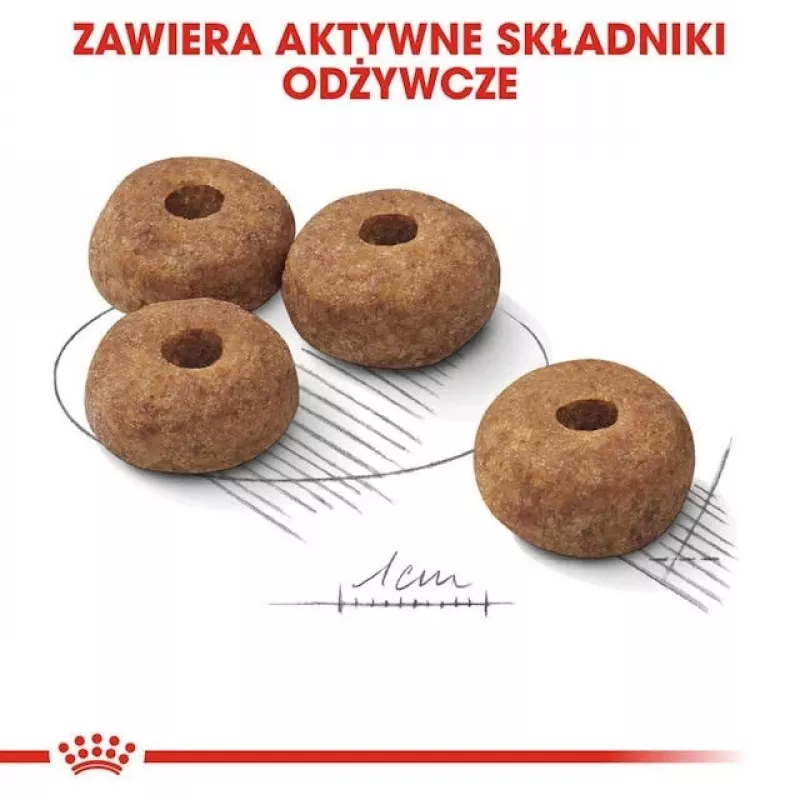 Sausas šunų ėdalas Royal Canin Medium Sterilised Adult 12 kg – sterilizuotiems vidutinių veislių suaugusiems šunims