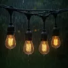 Lauko girlianda Lite bulb moments Extralink 10 m, 10 lempučių, sodo girlianda