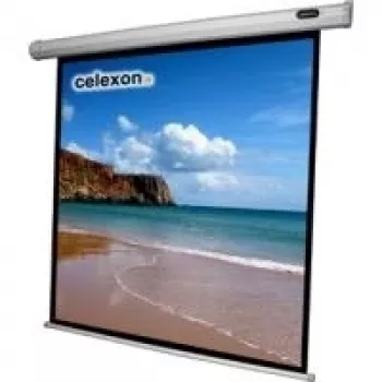 CELEXON Screen Motor Economy 240x240 cm su valdymo dėžute ir IR nuotolinio valdymo pultu, juodas rėmas ir galinė pusė, Gain 1.2 (1090068)