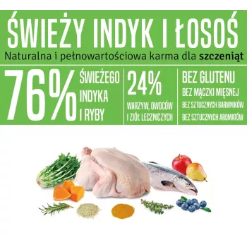ARQUIVET Fresh Puppy Turkey and Salmon - pusiau drėgnas ėdalas šuniukams - 10kg