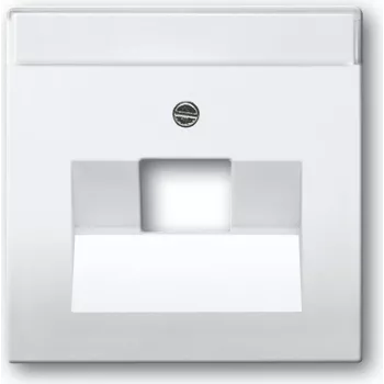 BUSCH JAEGER 1710-0-3165 - Baltas - įprastinis - 63 mm x 63 mm