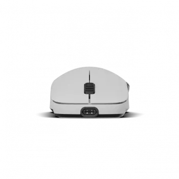 Pelytė Endgame Gear XM2w 4k Wireless