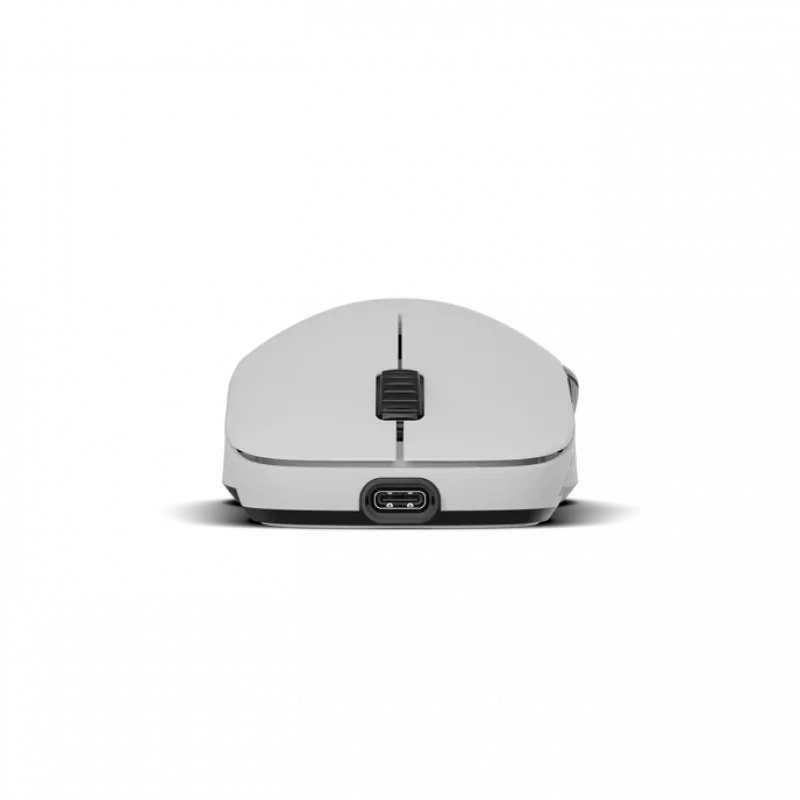 Pelytė Endgame Gear XM2w 4k Wireless