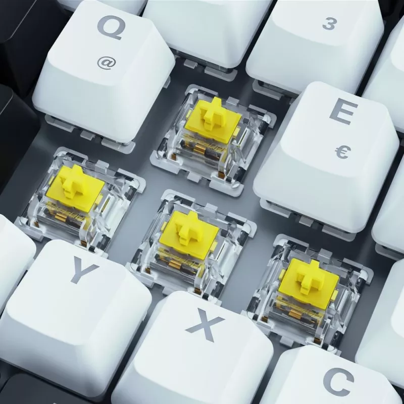 Žaidimų klaviatūra Sharkoon SKILLER SGK50 S3 mechaninė USB QWERTY portugališka balta