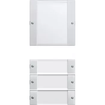 GIRA 213403 Jungiklis Skaidrus - Baltas (213403)