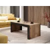Kavos staliukas Cama Meble MILA 120x60x50 cm Wotan ąžuolo viršus, juodas rėmas