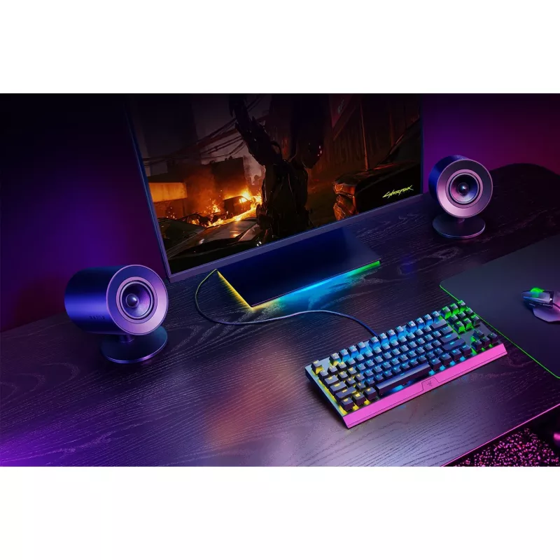 Pilno diapazono garsiakalbis Razer Nommo V2 X 2.0 kanalų