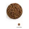 ACANA Senior sausas šunų ėdalas - 11,4 kg