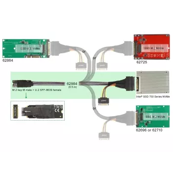 DeLOCK M.2 Key M į U.2 SFF-8639 NVMe adapteris su 50 cm kabeliu