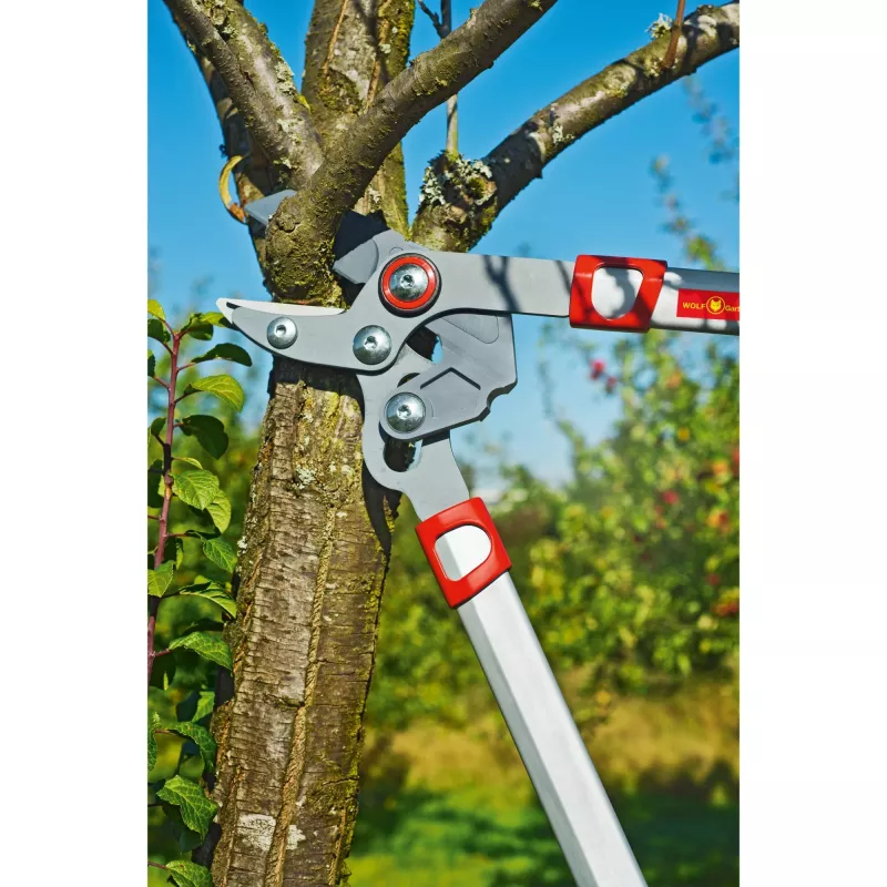 Sodo žirklės WOLF-Garten POWER CUT RS 650 BASIC PLUS
