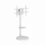 Grindinis TV stovas GEMBIRD TVS-86TR-01-W baltas, 37–86 colių, pasukamas ir pakreipiamas, VESA 200x200–600x400, maks. 50 kg