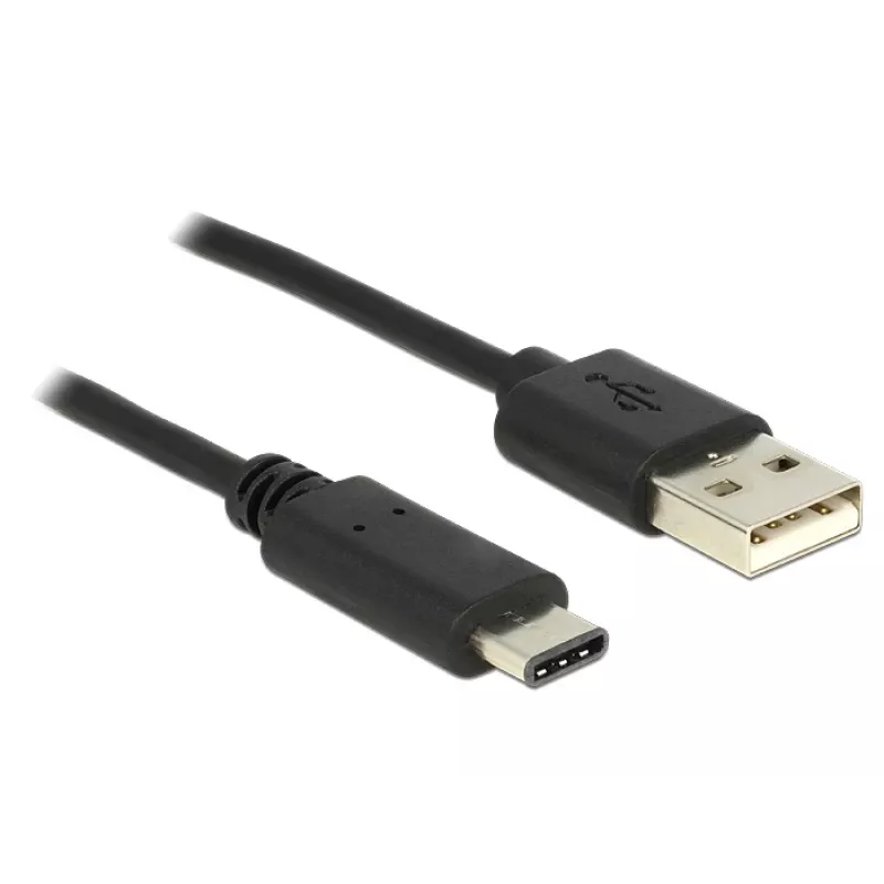 USB laidas DeLOCK 0,5 m USB 2.0-A USB 2.0-C