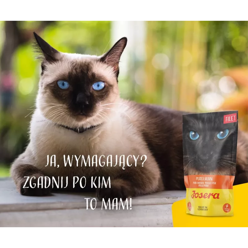 JOSERA Chicken Filet – šlapias kačių ėdalas – 70 g
