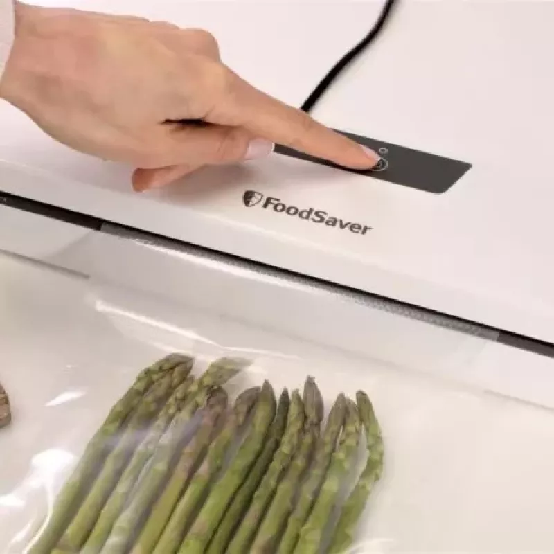 Vakuuminis pakuotuvas FoodSaver VS0290X