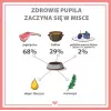 PUPIL Premium All Meat Gold Ėriuko balnas – šlapias šunų maistas – 800g
