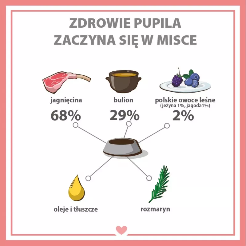 PUPIL Premium All Meat Gold Ėriuko balnas – šlapias šunų maistas – 800g