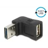 USB lyties keitiklis DeLOCK 65521