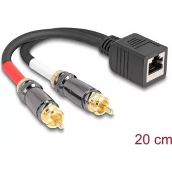 DeLOCK garso laidas 0,2 m RJ-45 2 x RCA juodas