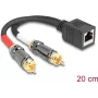 DeLOCK garso laidas 0,2 m RJ-45 2 x RCA juodas