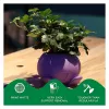 PLA 1,75 mm CANDY 1 kg – 3D spausdinimo gija