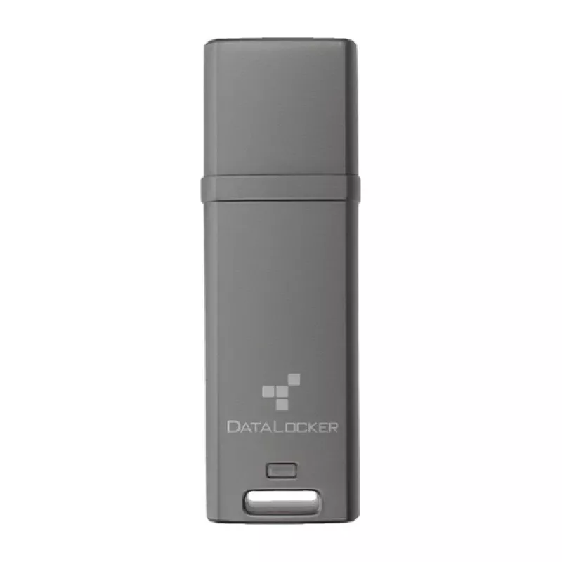 DataLocker 64GB DL GO 256BIT – USB atmintinė – įvairių spalvų (DLGO-064)