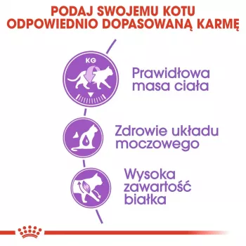 ROYAL CANIN Sterilised 37 sausas kačių ėdalas 10 kg