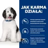 HILL'S PRESCRIPTION DIET Canine c/d Multicare Sausas šunų maistas Vištiena 12 kg
