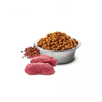 FARMINA N&D Quinoa Dog Skin&Coat Venison&Coconut Adult Medium&Maxi - sausas šunų ėdalas - 7 kg