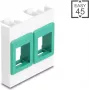 Sieninis 45x45 mm modulio rėmelis DELOCK Easy 2x Keystone laikikliai baltas/žalias