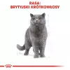 Sausas kačių ėdalas Royal Canin British Shorthair Adult 10 kg – paukštiena, baltymai 34%, riebalai 19%