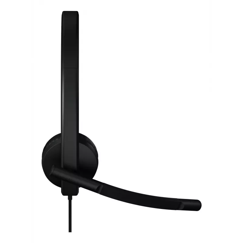 Ausinės Logitech H570e