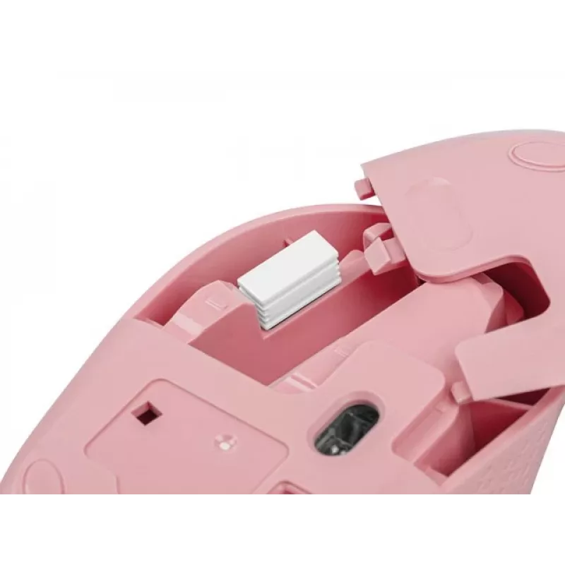NATEC STORK pelė Home Ambidextrous RF Wireless + USB-A optinė 1600 DPI
