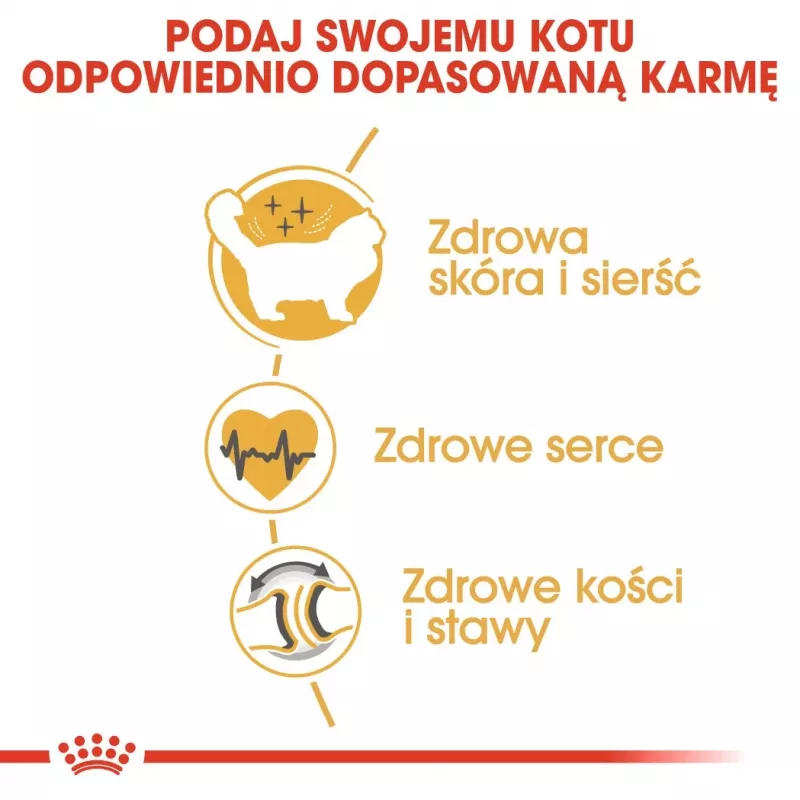 Sausas kačių ėdalas Royal Canin Ragdoll Adult 2 kg – vištiena