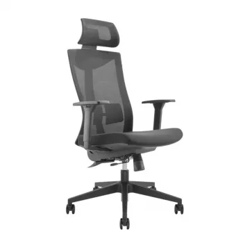 Ergonominė premium kėdė Ergo Officer ER-414