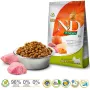 Sausas šunų ėdalas Farmina N&D Pumpkin Adult Mini Boar & Apple 7 kg, be grūdų, 30% baltymų, 18% riebalų, mažų veislių suaugusiems šunims